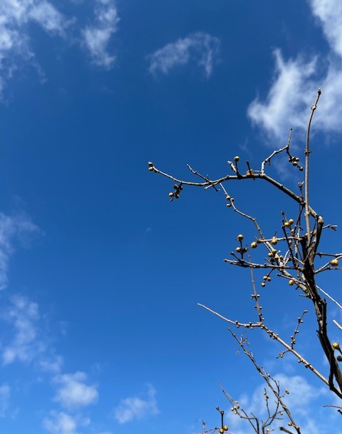 今年もよろしくお願いいたします！